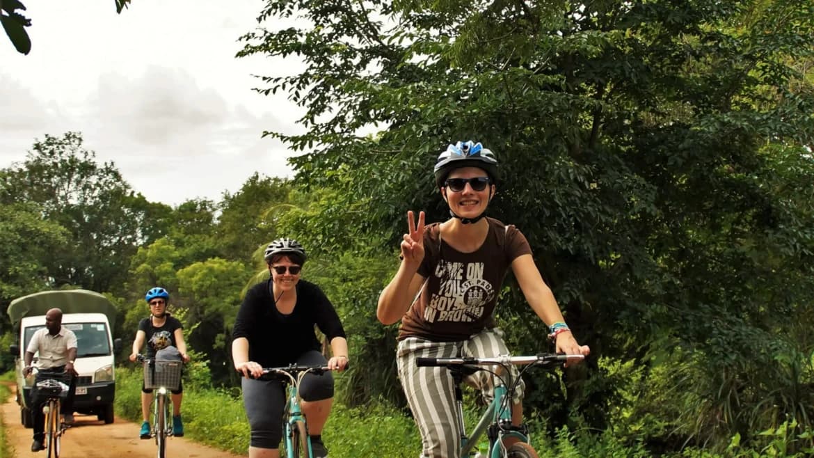 Ella Forest Cycling I