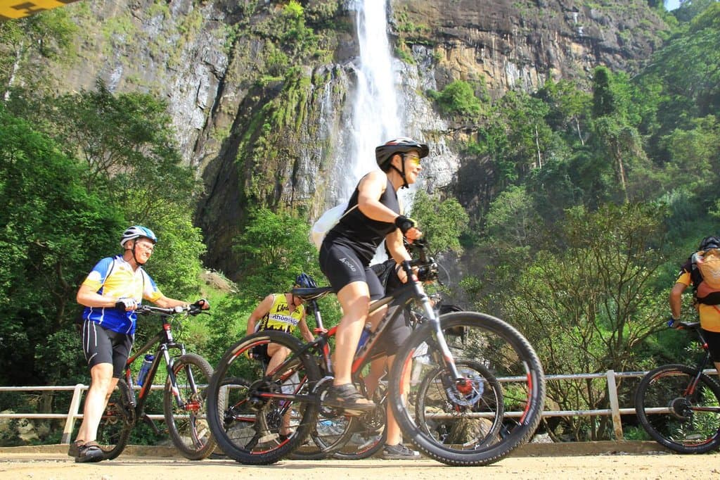 Ella Forest Cycling III