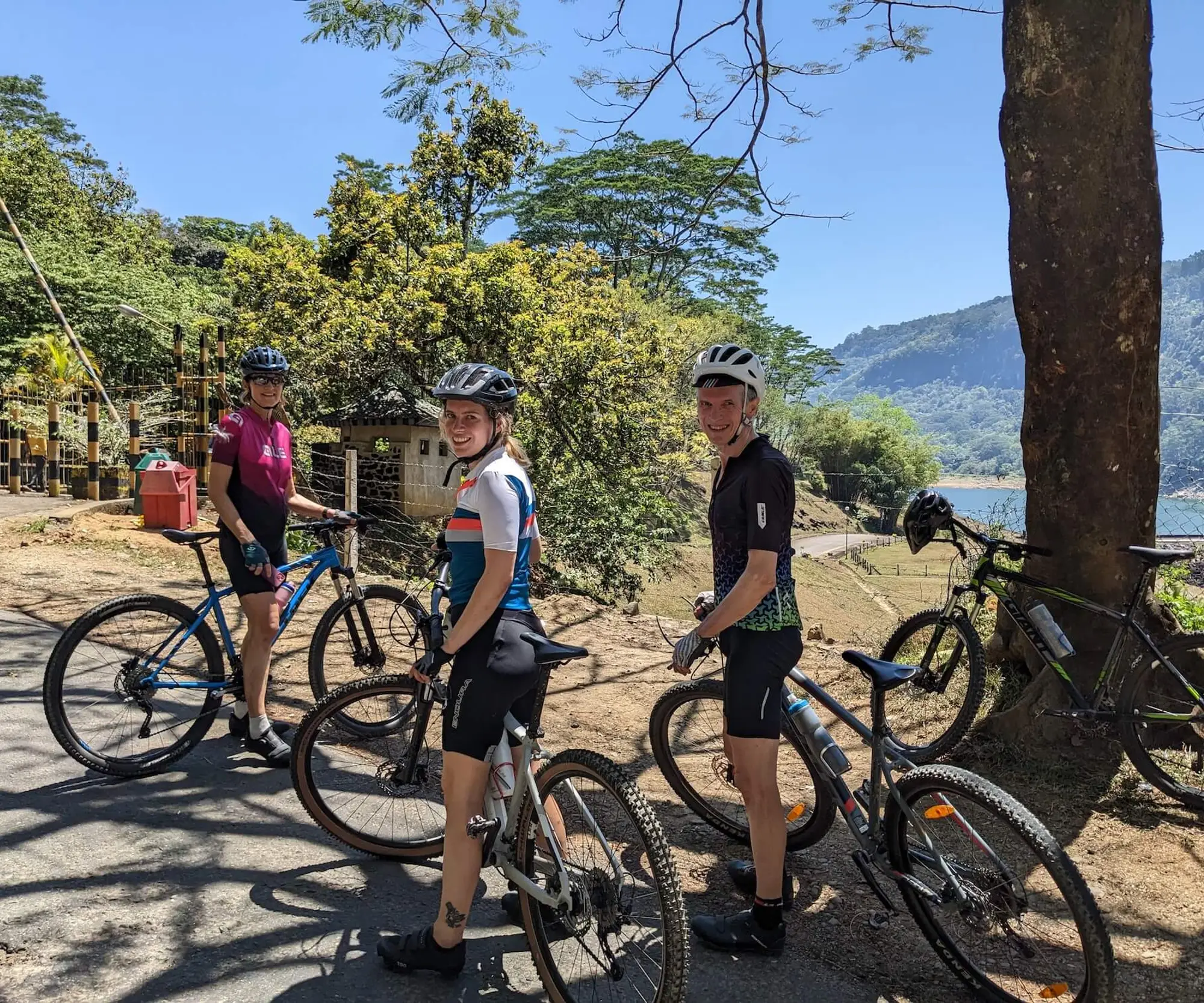 Ella Forest Cycling VIII