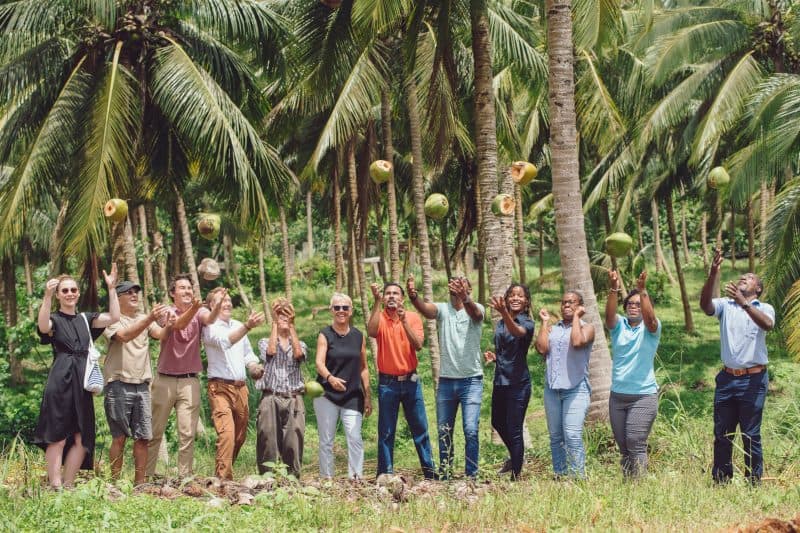Bespoke Farm Harvesting XI
