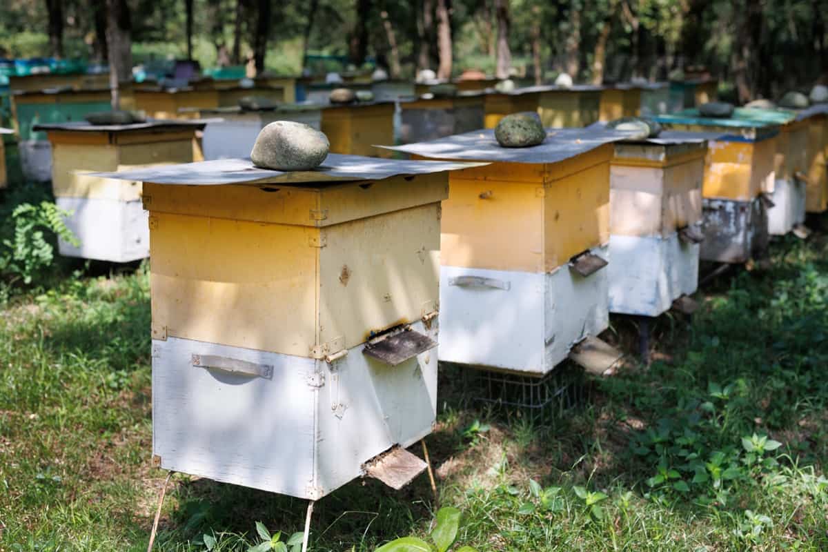 Bespoke Farm Harvesting XIX
