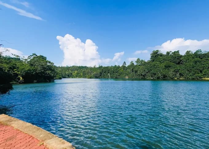 Dandeniya Sanctuary VIII