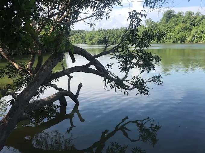 Dandeniya Sanctuary IX